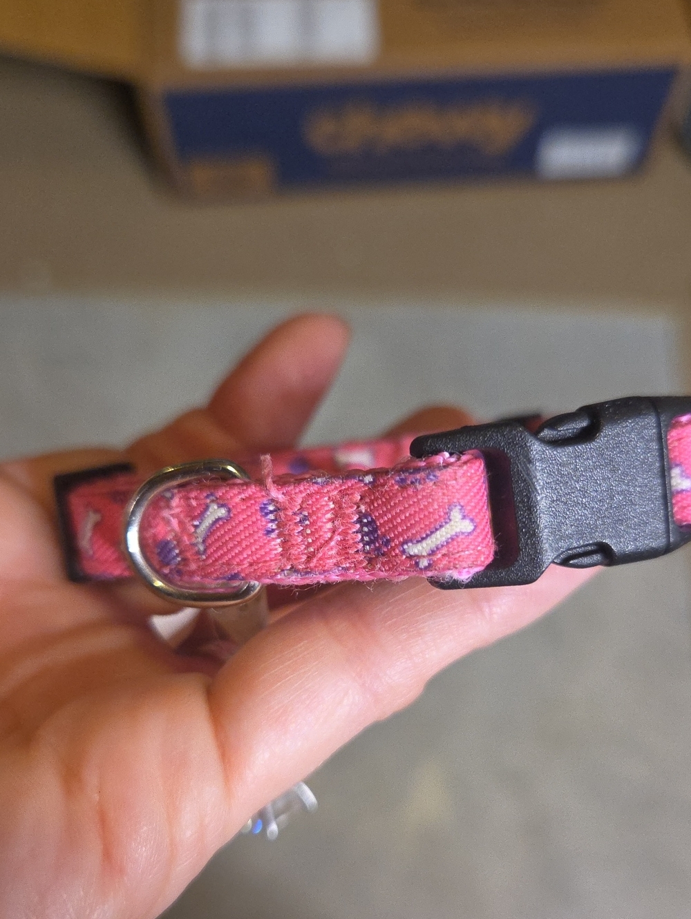 Top Paw Pink Adjustable Pet Collar with Buckle